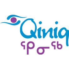 Qiniq logo