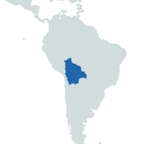 Bolivia world map