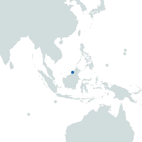 Brunei world map