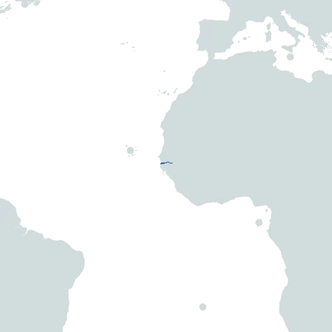 Gambia World Map