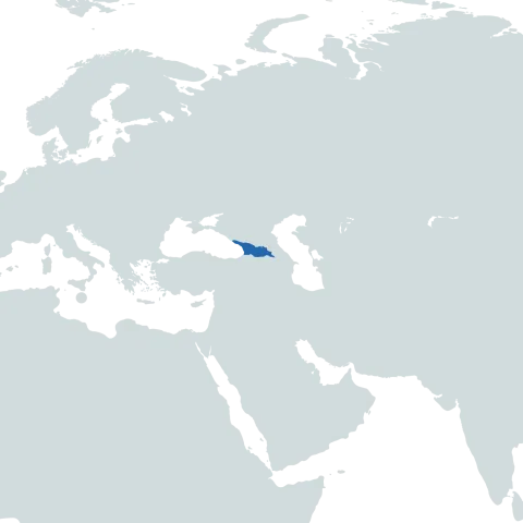 Georgia World Map