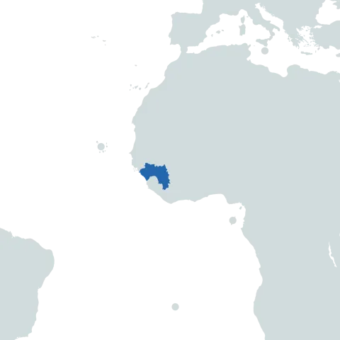 Guinea world map