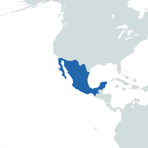 Mexico world map