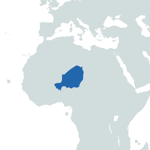 Niger world map