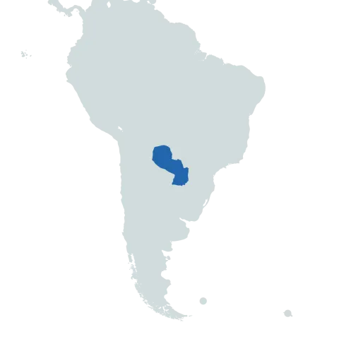 Paraguay world map