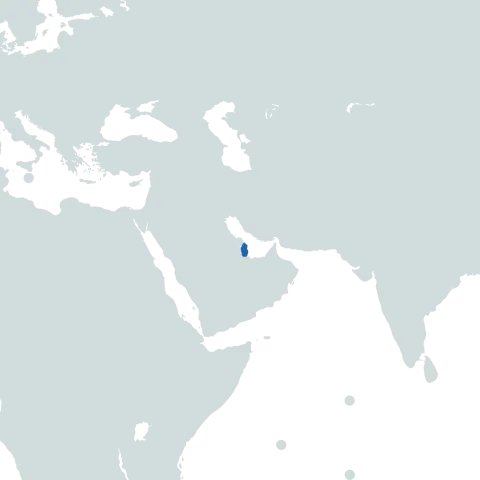 Qatar world map