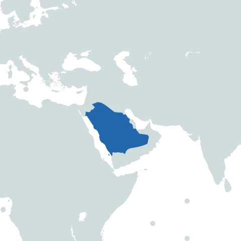 Saudi Arabia world map