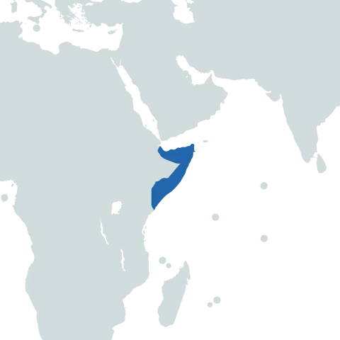 Somalia world map
