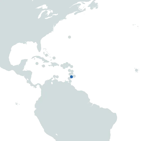 St Vincent Grenadines world map